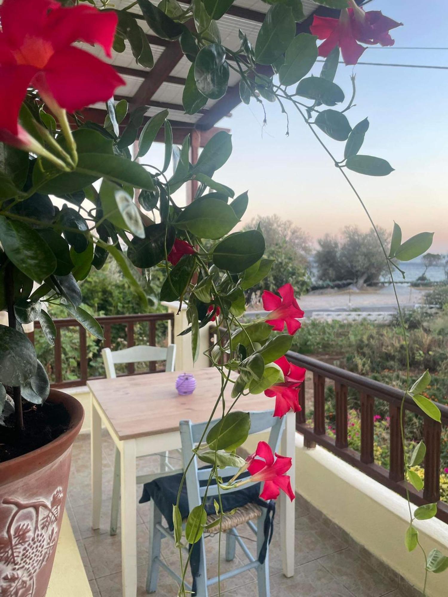 Tiki Rooms ماراثوكابوسْ المظهر الخارجي الصورة