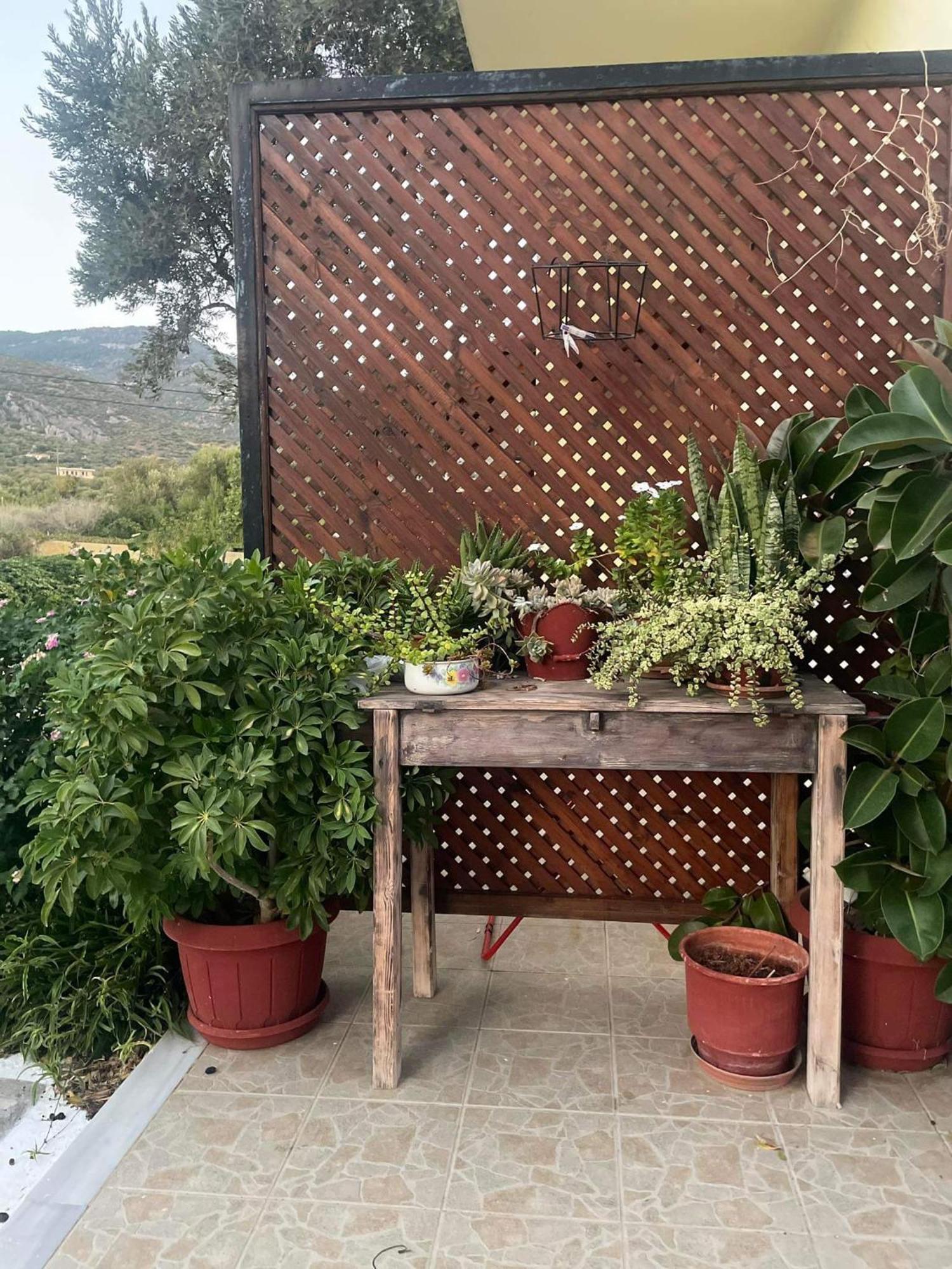 Tiki Rooms ماراثوكابوسْ المظهر الخارجي الصورة